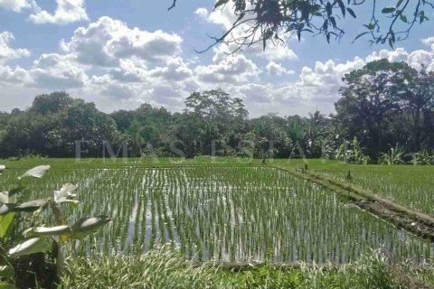 Land in Kediri, Tabanan, Bali (4782) 4