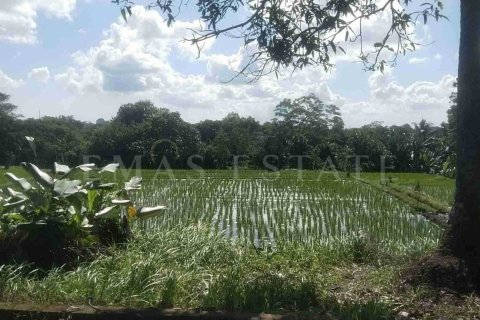 Land in Kediri, Tabanan, Bali (4782) 3