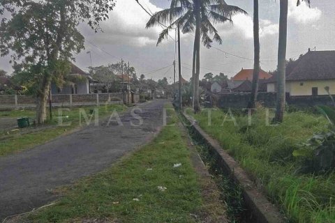 Land in Kediri, Tabanan, Bali (4782) 2