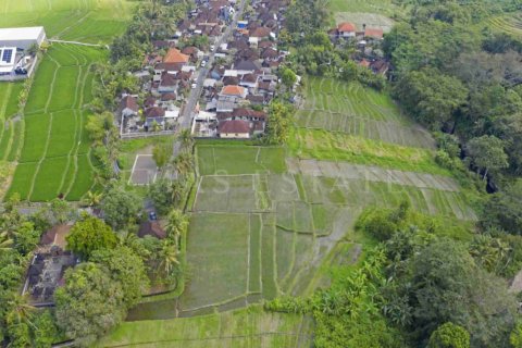 Land in Kediri, Tabanan, Bali (4782) 6