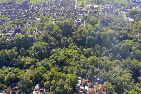 Land in Kediri, Tabanan, Bali (4783) 3