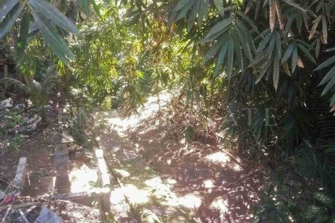 Land in Kediri, Tabanan, Bali (4783) 2