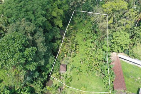 Tanah kavling di Ubud, Gianyar, Bali (4787)