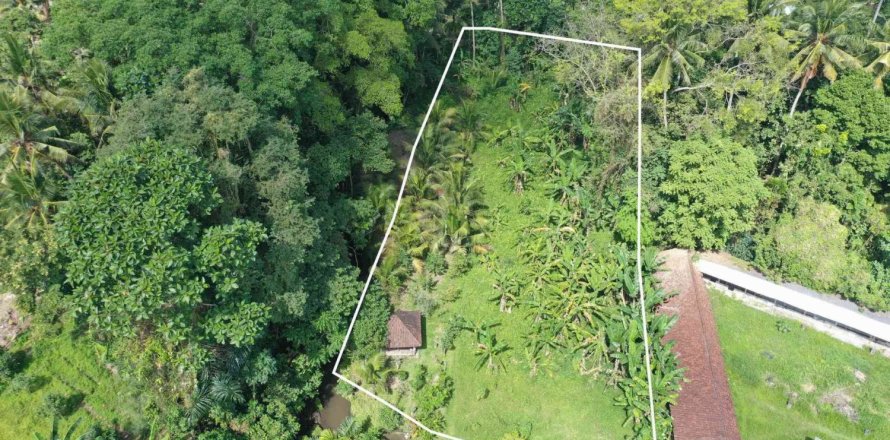 Land in Ubud, Gianyar, Bali (4787)