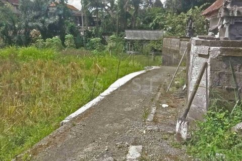 Land in Ubud, Gianyar, Bali (4787) 2