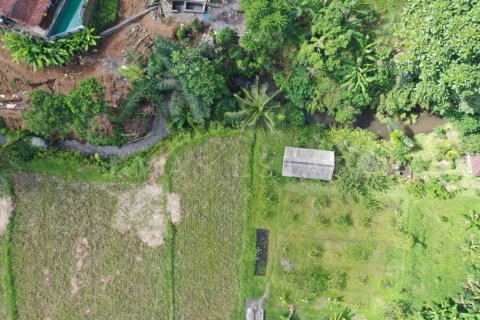 Land in Ubud, Gianyar, Bali (4787) 3