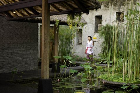4 bedrooms Villa in Canggu, Badung, Bali (1354) 5