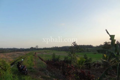 3575m2 Land in Tabanan, Bali (854) 8