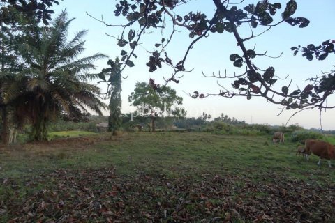 3575m2 Land in Tabanan, Bali (854) 7