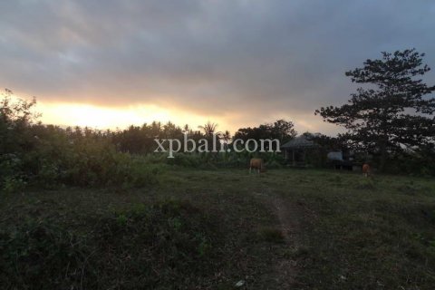3575m2 Land in Tabanan, Bali (854) 5