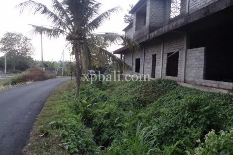 3575m2 Land in Tabanan, Bali (854) 2