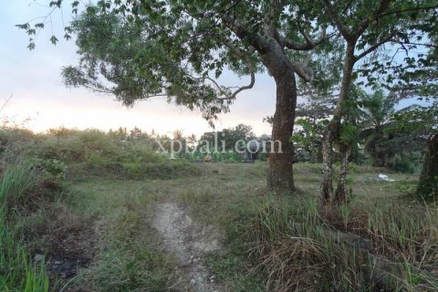 3575m2 Land in Tabanan, Bali (854) 4