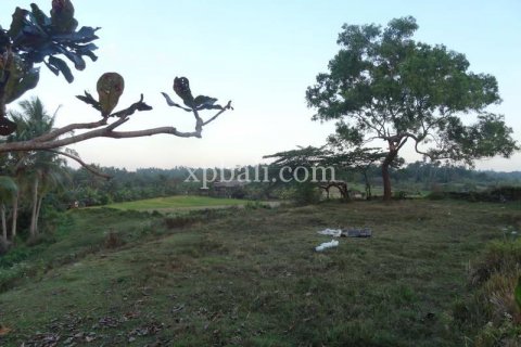 3575m2 Land in Tabanan, Bali (854) 6