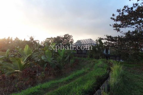 3575m2 Land in Tabanan, Bali (854) 9