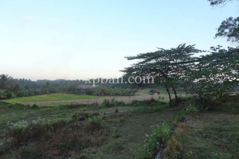 Tanah kavling 3575m2 di Tabanan, Bali (854)