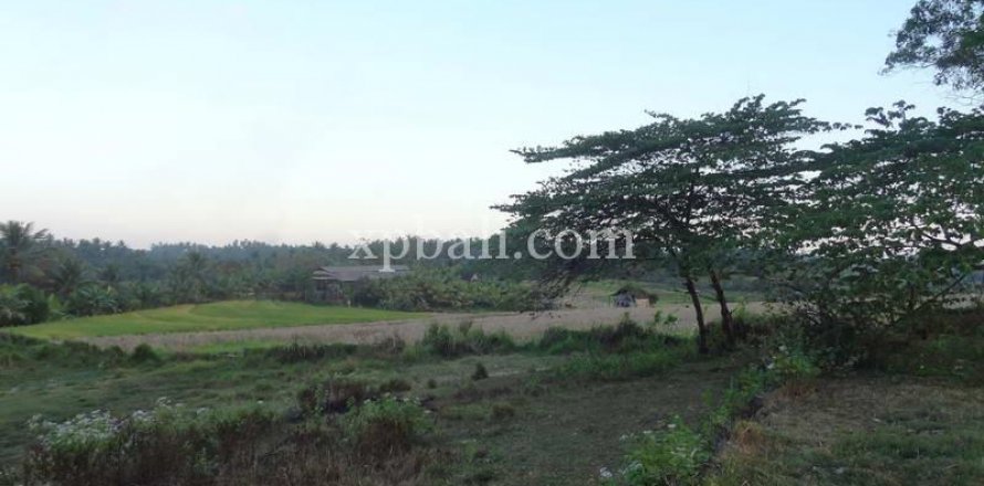 3575m2 Land in Tabanan, Bali (854)