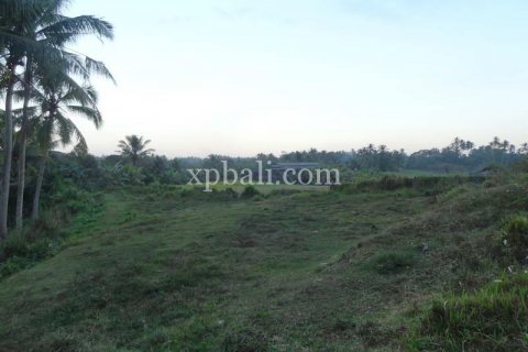 3575m2 Land in Tabanan, Bali (854) 3