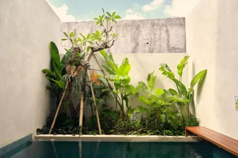 2 bedrooms Villa in Tumbak Bayuh, Mengwi, Badung, Bali (12796) 2