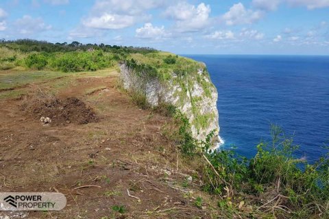 650m2 Land in Nusa Penida, Klungkung, Bali (9305) 2