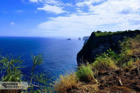 650m2 Land in Nusa Penida, Klungkung, Bali (9305) 3
