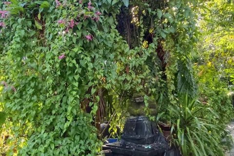 Tanah kavling 425m2 di Canggu, Badung, Bali (9301)