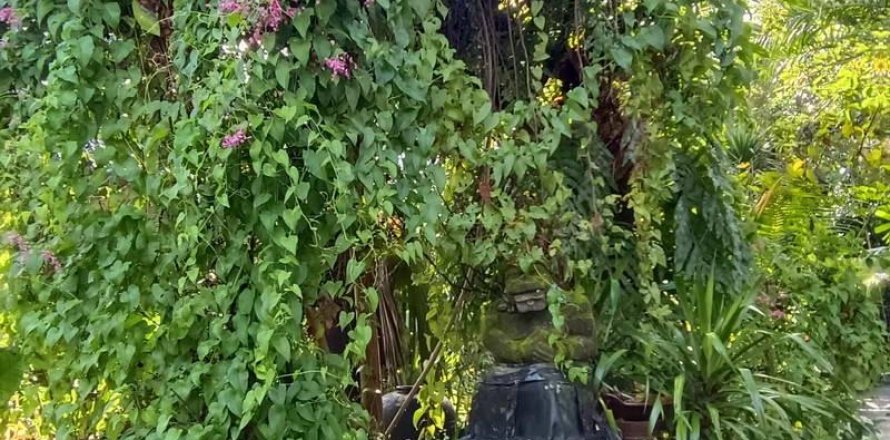 425m2 Land in Canggu, Badung, Bali (9301)