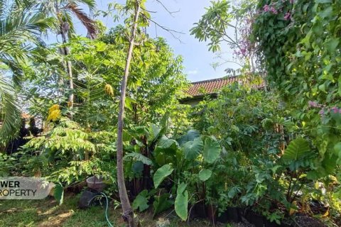 425m2 Land in Canggu, Badung, Bali (9301) 2
