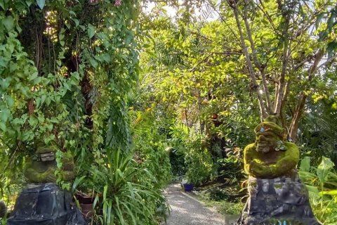 425m2 Land in Canggu, Badung, Bali (9301) 3