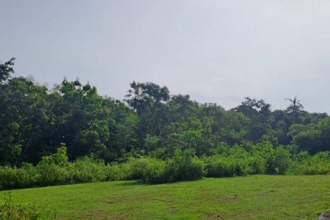 Tanah kavling 997m2 di Kuta Selatan, Badung, Bali (9307) 6