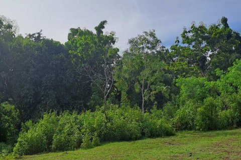Tanah kavling 997m2 di Kuta Selatan, Badung, Bali (9307) 12