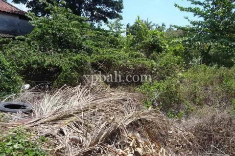 3600m2 Land in Legian, Kuta, Badung, Bali (5994) 8