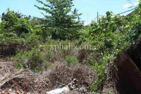 3600m2 Land in Legian, Kuta, Badung, Bali (5994) 9