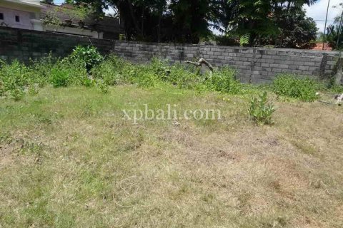 3600m2 Land in Legian, Kuta, Badung, Bali (5994) 4