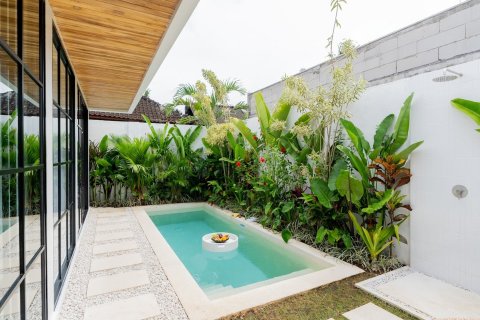 ЖК BALIVE VILLAS UBUD COMPLEX 3 в Убуд, Гианьяр, Бали (9917) 2