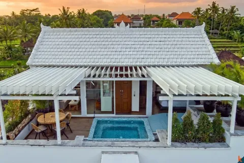 1 bedroom Villa in Seminyak, Badung, Bali (11115) 5