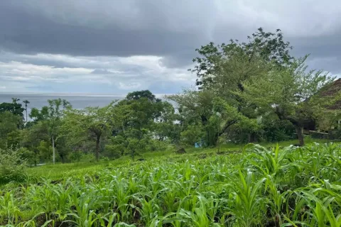 Tanah kavling di Karangasem, Karang Asem, Bali (11632)