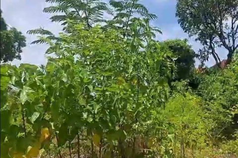 Tanah kavling 2610m2 di Kuta, Badung, Bali (10513)