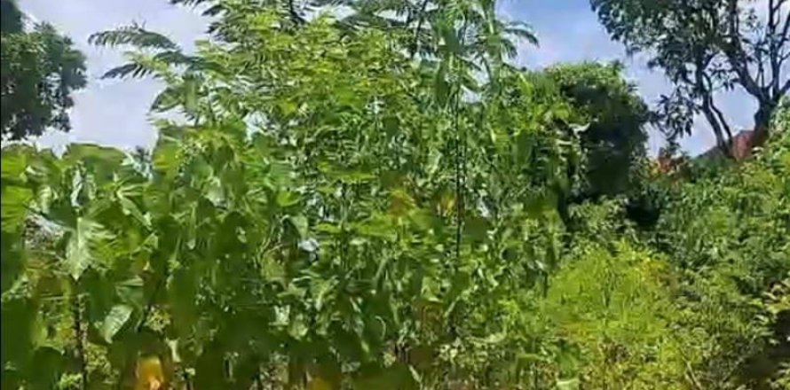 2610m2 Land in Kuta, Badung, Bali (10513)