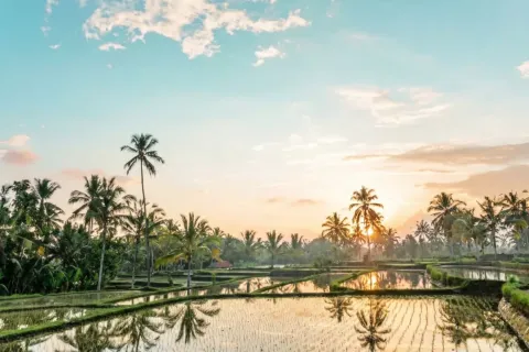 8 bedrooms Villa in Ubud, Gianyar, Bali (11023) 3