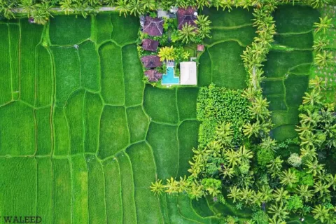 8 bedrooms Villa in Ubud, Gianyar, Bali (11023) 7