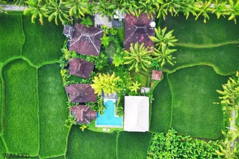 8 bedrooms Villa in Ubud, Gianyar, Bali (11023) 8