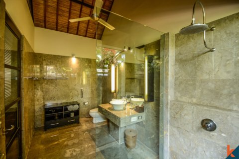 3 bedrooms Villa in Seminyak, Badung, Bali (11898) 12