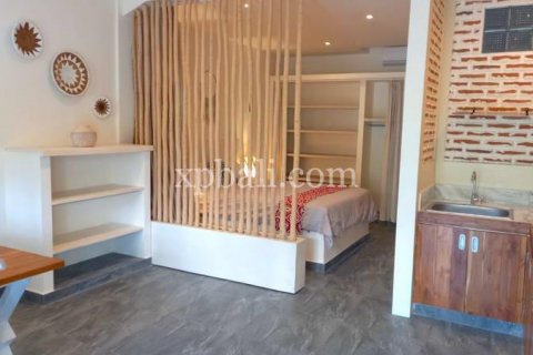 12 bedrooms Villa in Canggu, Badung, Bali (778) 14
