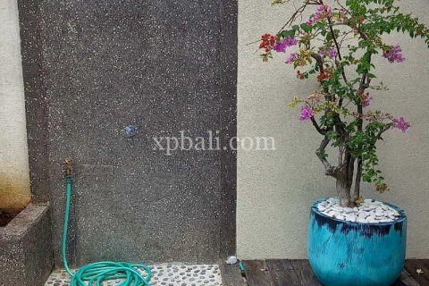 12 bedrooms Villa in Canggu, Badung, Bali (778) 16