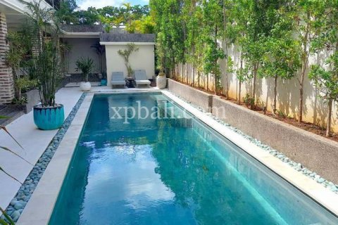 12 bedrooms Villa in Canggu, Badung, Bali (778) 18