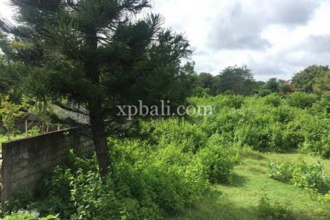 2160m2 Land in South Kuta, Badung, Bali (5948) 10