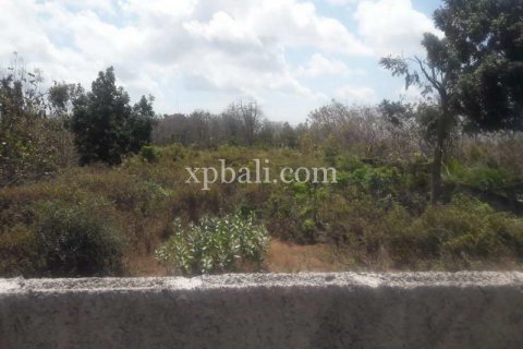 2160m2 Land in South Kuta, Badung, Bali (5948) 4