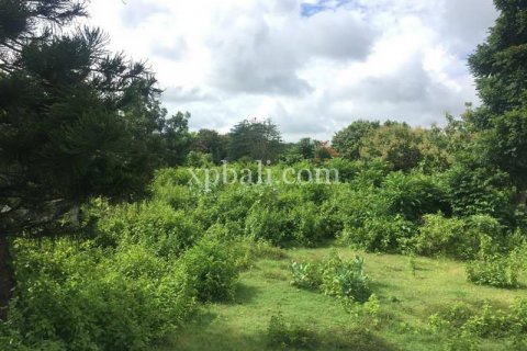 2160m2 Land in South Kuta, Badung, Bali (5948) 6