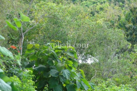 2000m2 Land in South Kuta, Badung, Bali (5952) 8