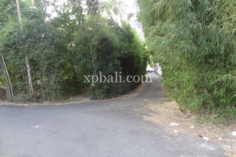 2000m2 Land in South Kuta, Badung, Bali (5952) 6